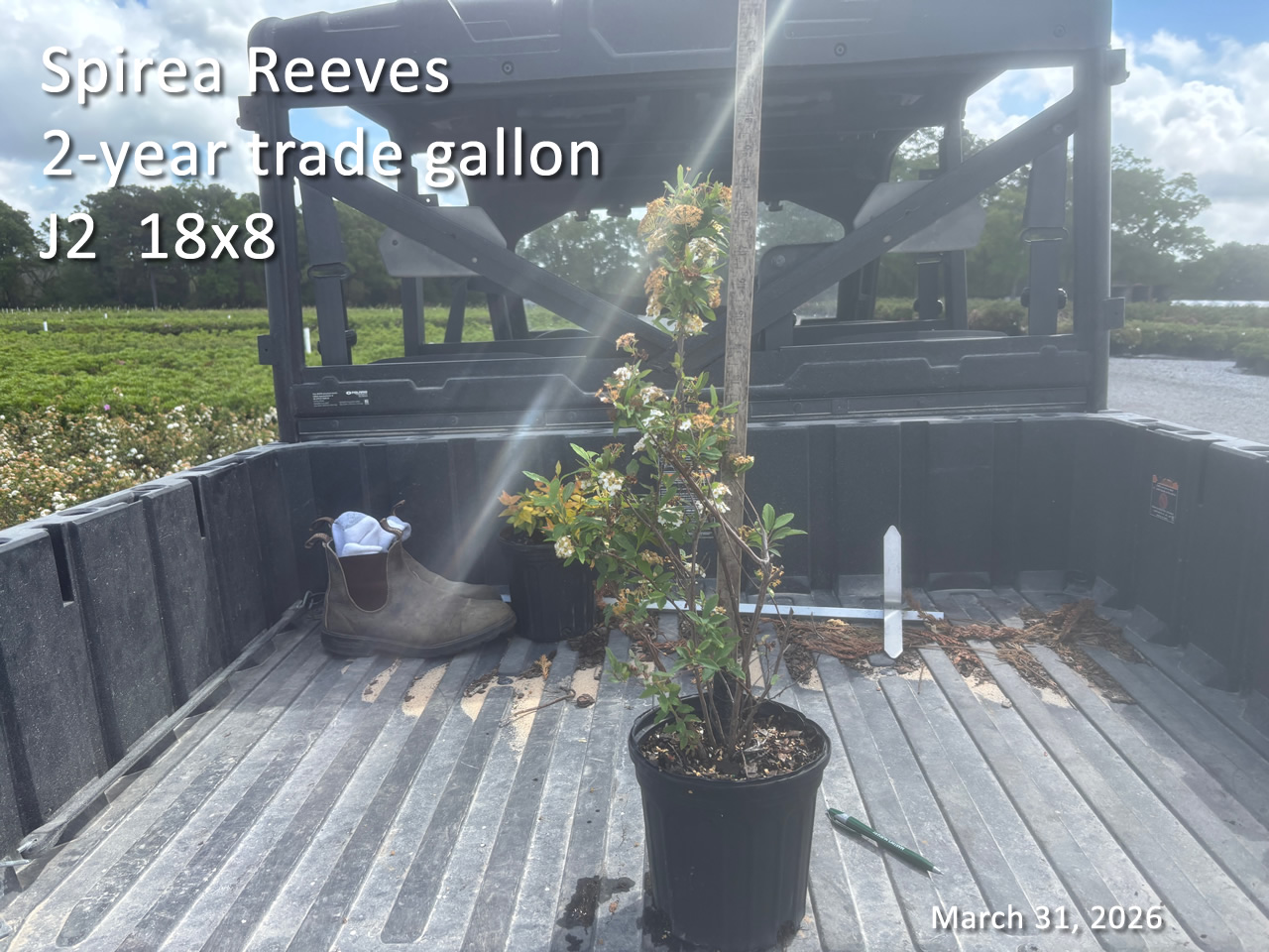 gallery/srv2yt j2 mar31.jpg